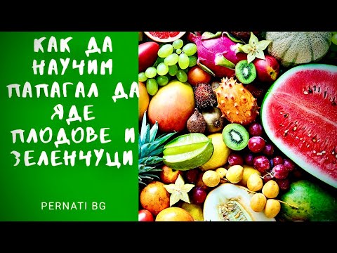 Как да научим папагала си да яде плодове и зеленчуци