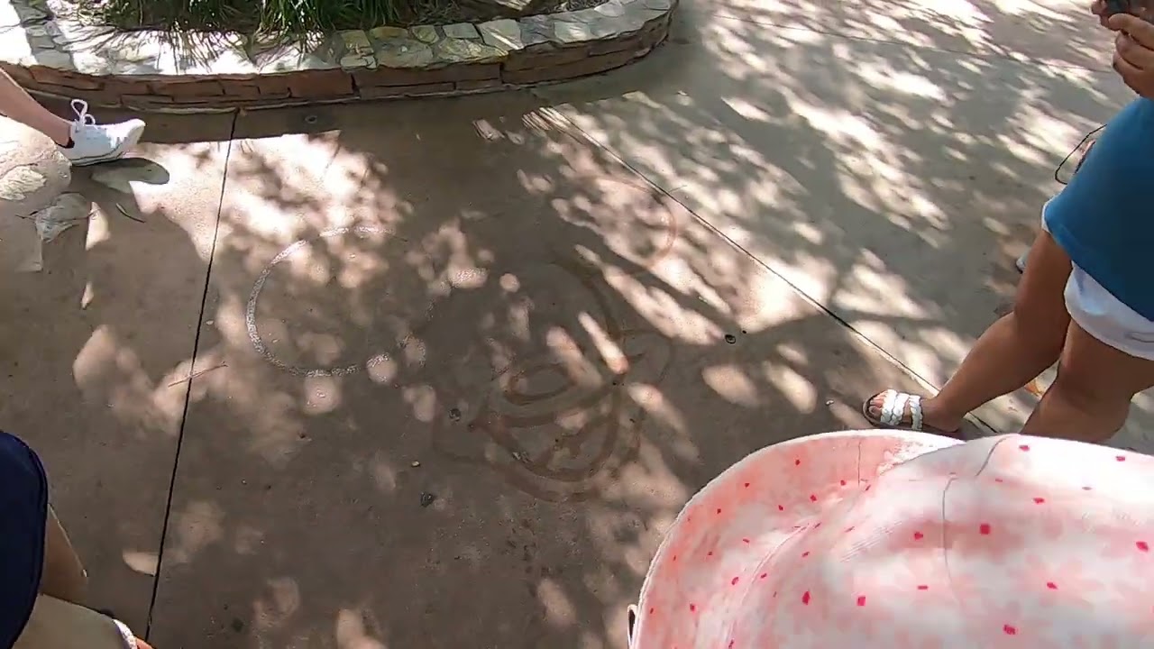 Custodian Mickey Drawing