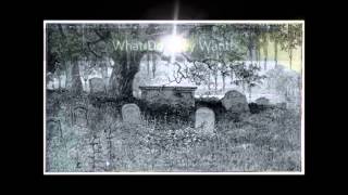 Phone Goes Dead Book Trailer