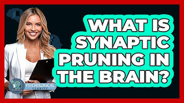 What Is Synaptic Pruning In The Brain? - Psychological Clarity