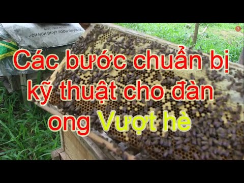 Video: Cách Chuẩn Bị Cho Trại Hè