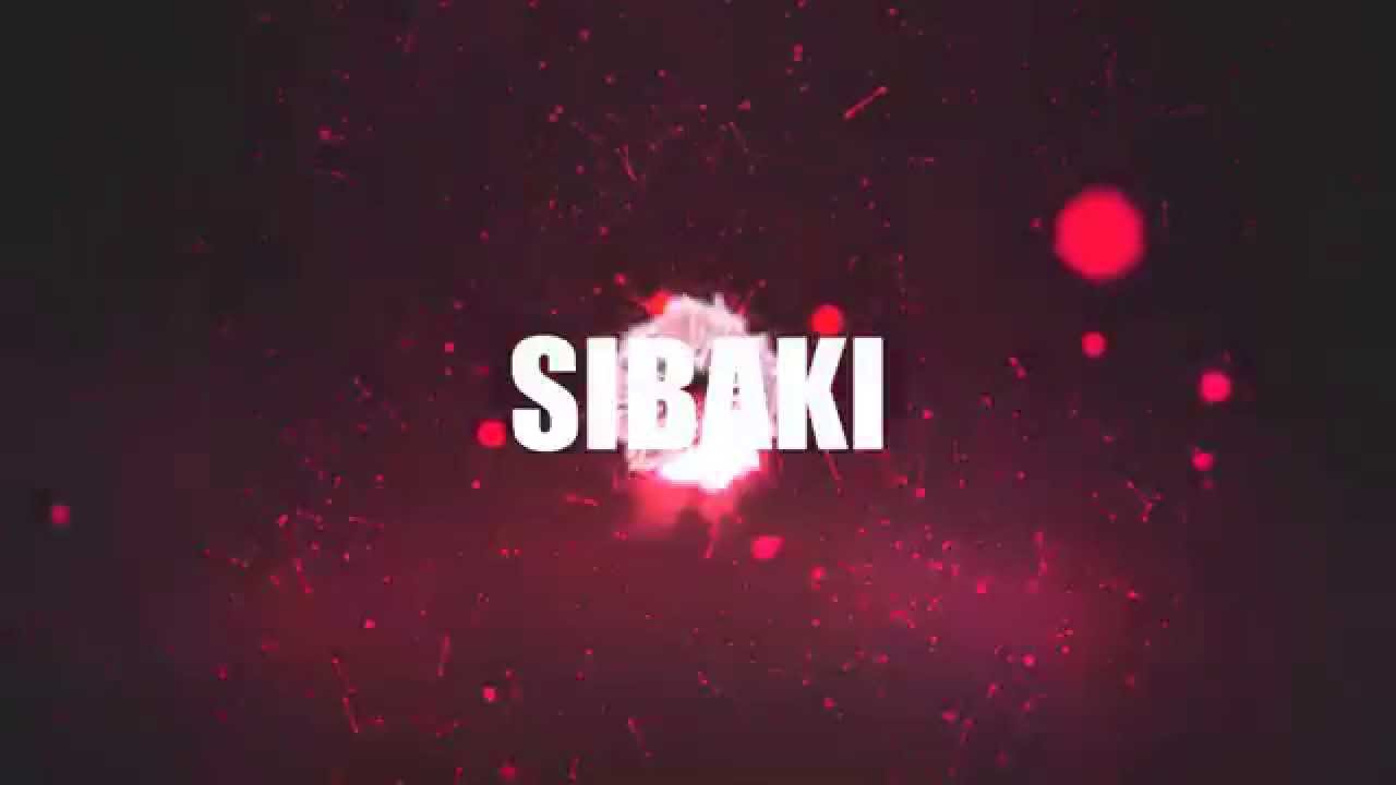 New INTRO Sibaki # 2