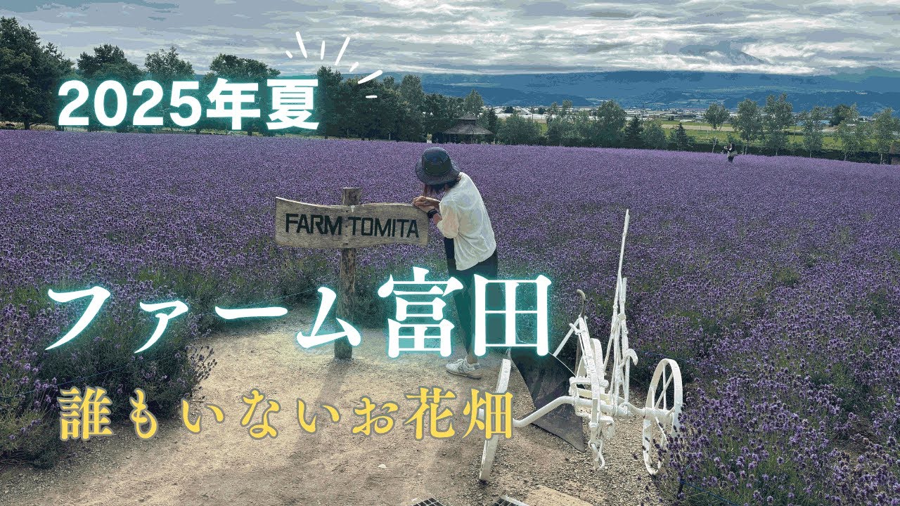 ファーム富田】ラベンダー真っ盛り！誰もいないお花畑を2時間散策