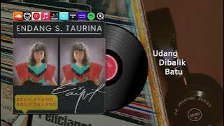 Endang S. Taurina - Aduh Abang Aduh Sayang ( Audio Visualizer )