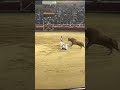 San Sebastián de los Reyes Recortadores Contest