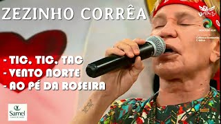ZEZINHO CORRÊA - GRANDE RODA TOADA - TIC TIC TAC