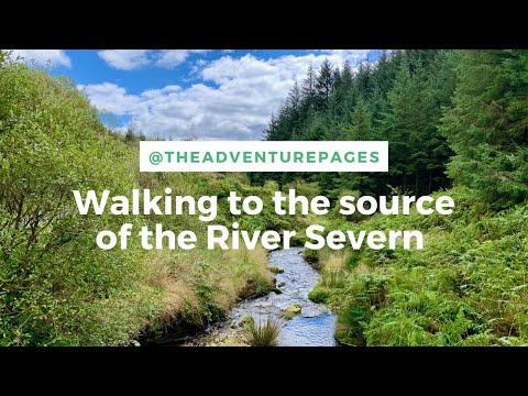 Sources of UK rivers • River Severn / Afon Hafren • Hafren Forest, Powys, Wales