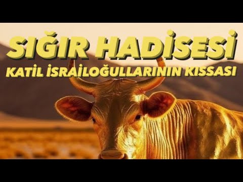 Musa Aleyhisselam ile
