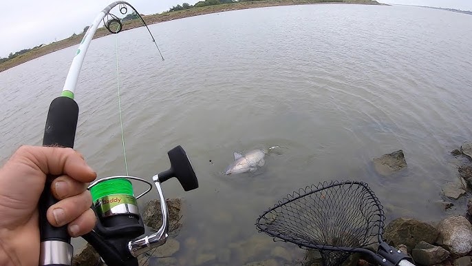 Walmart Fishing Reel for Big Catfish 