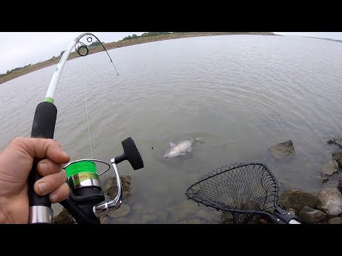 Testing Lew's Cat Daddy Catfish Rod Combo, Fishing For Catfish 