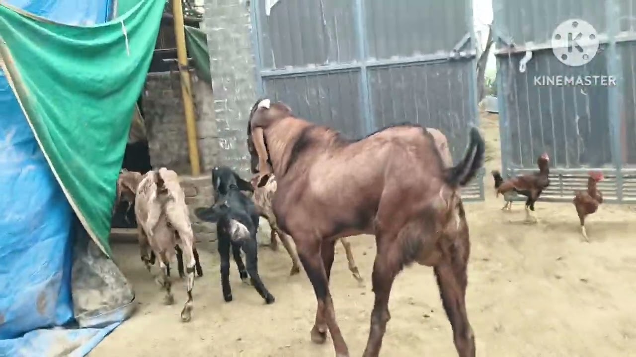 ਦੇਖੋ ਅੱਜ ਦਾ ਬਲੋਗ ਅੱਜ ਦਾ ਦਿਨ ਕਿਵੇਂ ਗੁਜਰਿਆ