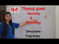 Thymus gland anatomy & physiology in hindi || structure || functions ||  lymphoid and endocrine