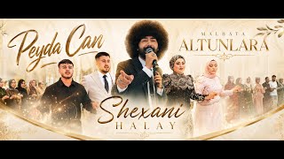 Peyda Can - Daweta Altunlara | Delilo Shexani