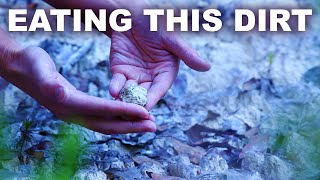 Why some people eat 'dirt' - white kaolin clay