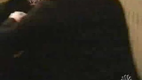 Passions' WILD THING Scene