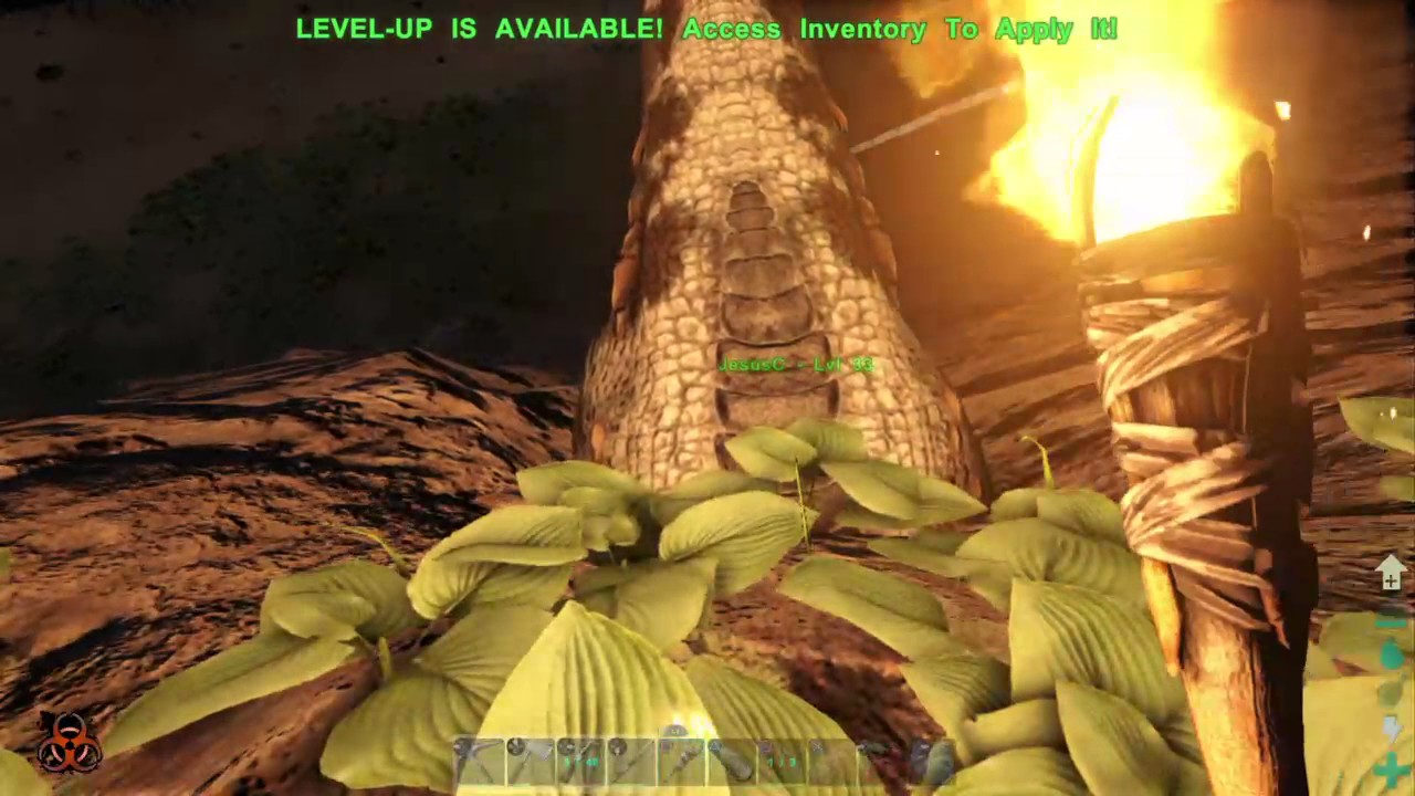 Ark Survival Evolved-Raiding! - YouTube