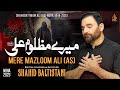 Mere Mazloom Ali | Noha Ali Ki Yad Main | Best Islamic Noha | Shahid Baltistani | Noha