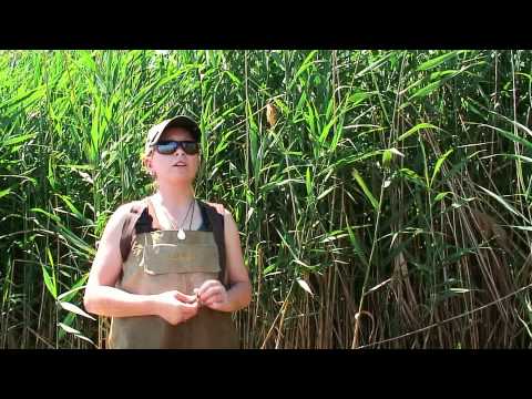 ^~ Watch Full Waterlogged