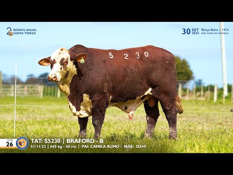 LOTE 26 TAT S5230 BRAFORD Est  Sta Tereza