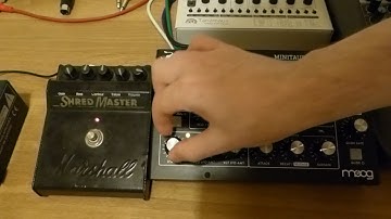 Moog Minitaur & Marshall Shredmaster
