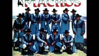 Banda Machos... "Princesa Gitana" chords
