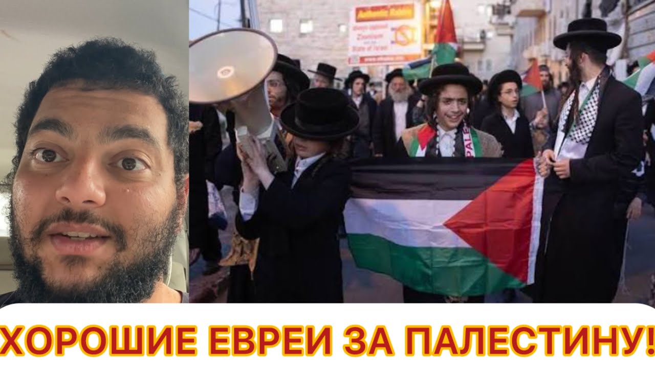 Евреи за Палестину! Почему Их Так Сильно Любят???