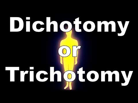 Dichotomy or Trichotomy? [Scriptum #18]