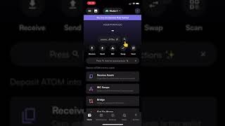 Connecting to Nibiru Chain on a Mobile Phone with Leap Wallet (2024) screenshot 5