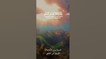 السورة| يونس الآية (٢٥) القارئ| أنس الشافعي