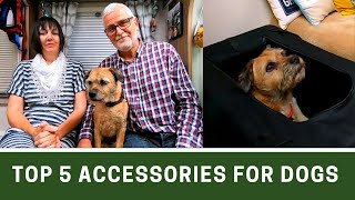 Top 5 ACCESSORIES with DOGS in a MOTORHOME | Vanners Collaboration July 2020 | Ep250