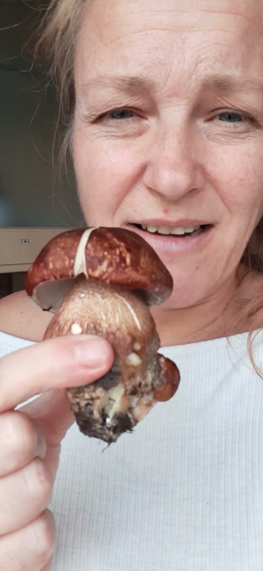 ich habe meine ersten Steinpilze gefunden - YouTube