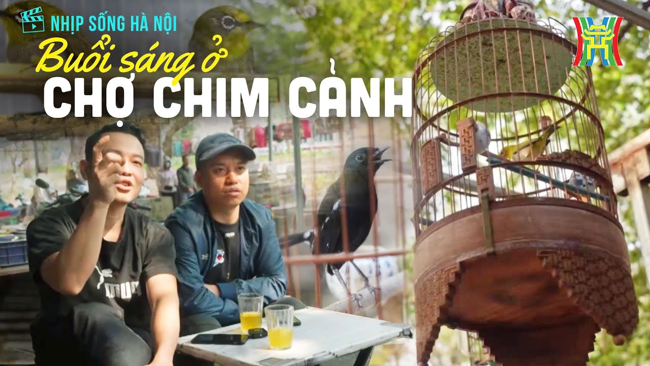 Một buổi sáng ở chợ chim cảnh Hoàng Hoa Thám | Nhịp sống Hà Nội