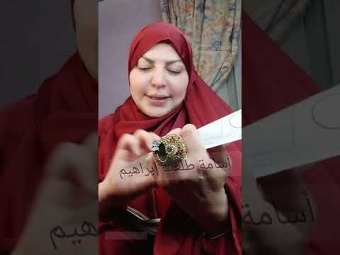 أول مواجهة بين ميار الببلاوى والشيخ محمد ابو بكر 