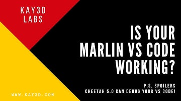 Building Marlin 2.0.3 with a Debugging mode to check VS Code?