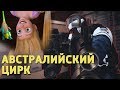 Австралийский цирк /Rainbow Six Siege