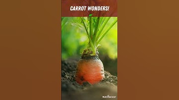 How to Grow Carrots Magic! (The #1 Gardening Tip) #satisfying #garden #shorts