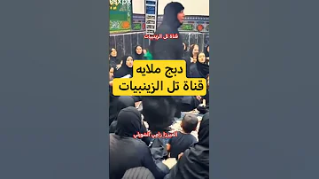 اقوى لطم دبج ملايه كلنا انزامط بي ابن البدويه اقوى لطم دبج ملايه كلنا انزامط بي ابن البدويه