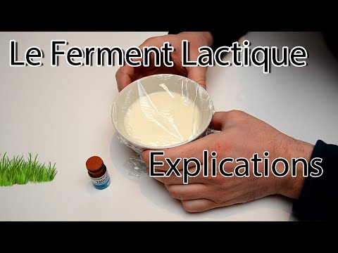 Vidéo: Qu'est-ce qu'un pot de fermentation ?