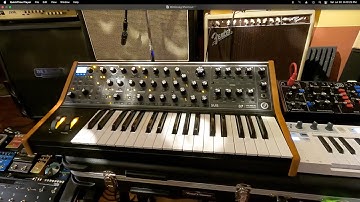 Minimoog Shootout.   Behringer Model D vs Arturia Analog Lab Mini vs Moog Subsequent 37