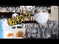【合理的配慮/学校/トラブル】過保護すぎるの?学校に対する母ちゃんの怒り【通級指導教室/ADHD/ASD】