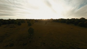 GEPRC MARK5 Freestyle FPV Quad | FPV Freestyle | Flying In A Park