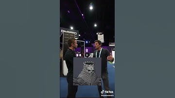 What do you think the weirdest NFT project is? #quai #quainetwork #nft #crypto #shorts