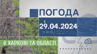 Прогноз погоди в Харкові та Харківській області на 29 квітня