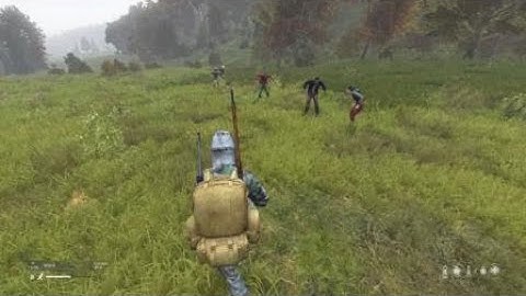 DayZ testing if Z