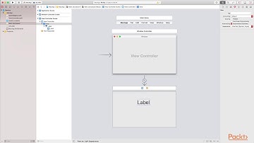 Xcode 10: Tips, Tricks, and Techniques: Dark and Light Variants for Custom Colors| packtpub.com