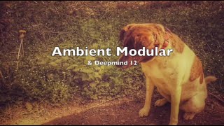 Ambient Modular and Deepmind 12