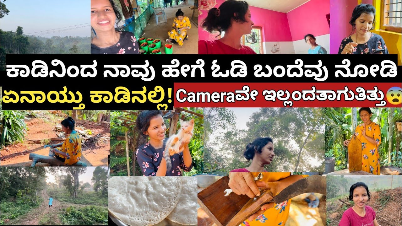 ನಾವು ಹೇಗೆ ಕಾಡಿನಿಂದ ಓಡಿ ಬಂದೆವು ನೋಡಿ-ನಮ್ಮನ್ನು ಓಡಿಸಿ ಬರ್ಲಿಕ್ಕಿತ್ತು😨ಕ್ಯಾಮೆರವೇ ಇಲ್ಲದಂತಾಗುತ್ತಿತ್ತು😨