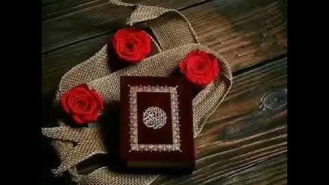 سورة الإخلاص مكررة لنصف ساعة بصوت المقرئ ناصر القطامي