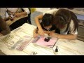 小学生,中学生,夏休み自由研究工作,体験教室,如何使日本食品玩具,cat25,猫ニャーゴ