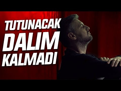 Tutunacak Dalım Kalmadı!  - SAİD ŞAŞMAZ